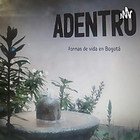 Adentro