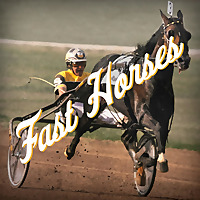 Fast Horses