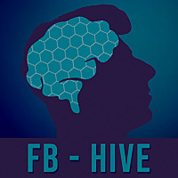 FB - Hive