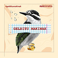 NAIZ IRRATIA - Gelditu makinak | naiz.eus