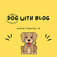 Dog With Blog: Dog Adoption, Rescue & Care in India