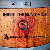 Inside the Bunghole...A Journey through Wine