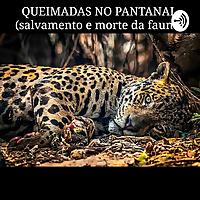 Quimadas No Pantanal (Salvamento E Morte Da Fauna)