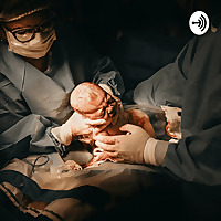 Podcast sobre Rita Lobato, Por Rosana Ruthner