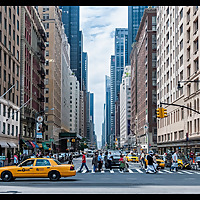 New York News