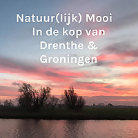 Natuur(lijk) Mooi