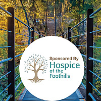 Embracing The Journey