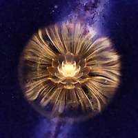 Sananda Siddhartha ✵ Podcast