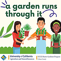 A Garden Runs Through It