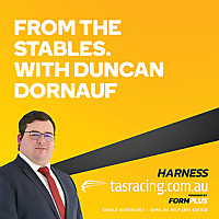 From the Stables - harness