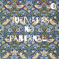 Queimadas no Pantanal