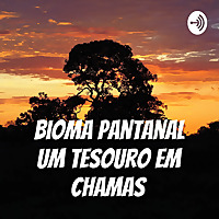 Bioma Pantanal Um Tesouro Em Chamas