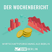 Der Wochenbericht   Wirtschaftsforschung aus Berlin