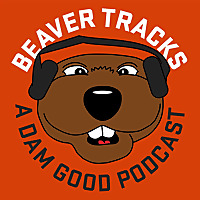 Beaver Tracks