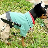 Poesias Para Semana Farroupilha