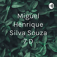Miguel Henrique Silva Souza 7 D