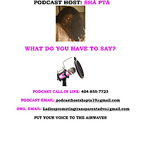 Ladiespromotingtransparentadvocacy