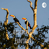 Aruanas Do Pantanal