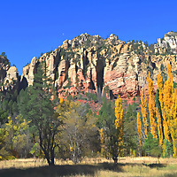 Scripture On Creation podcast