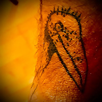 Vogel der Woche - bird of the week