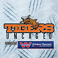 Tigers Uncaged