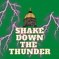 Shake Down The Thunder