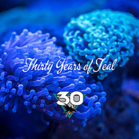 Thirty Years of Teal