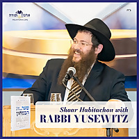 Swift Shaar Habitachon