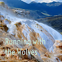 Running with the Wolves