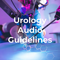 Urology Audio Guidelines