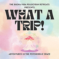 What a Trip! Adventures in the Psychedelic Space
