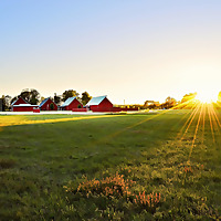Stories from the Heartland
