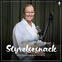 Styrelsesnack