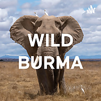 WILD BURMA