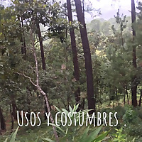Usos y costumbres .