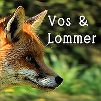Vos en Lommer