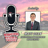 Woodpeckers Baseball Podcast