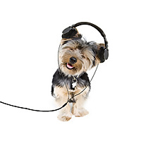 VETtalk Online Podcasts