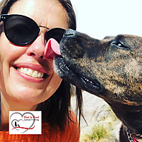 What Dogs Have Taught Me