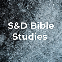 S and D Bible Studies