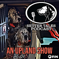Setter Tales Podcast