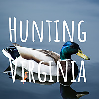 Hunting Virginia