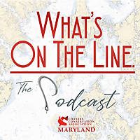 What's On The Line