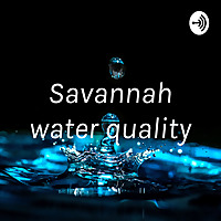 Savannah water quality