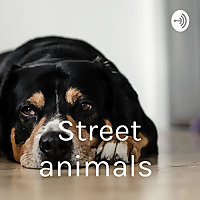 Street animals