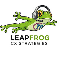 Leapfrog CX Strategies