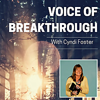 Voice of Breakthrough with Cyndi Foster