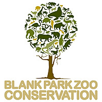 Saving Animals with Blank Park Zoo