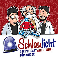 Schlaulicht