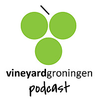 Vineyard Groningen Sermons